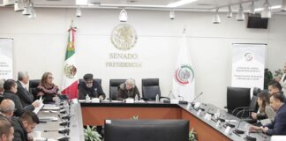 Comparece María Eréndira Cruz Villegas ante Comisión de Justicia del Senado de la República .