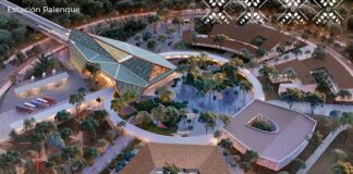 Sin avisar cancelan viajes del tren maya militar.