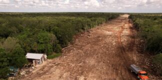 La falsa inauguración del tren mal llamado maya .