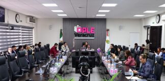 OPLE Veracruz aprueba planes anuales de trabajo 2024 de comisiones permanentes y especiales.