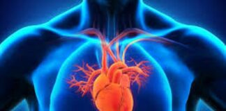 Cuáles son las 10 enfermedades cardiacas más comunes.