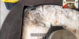 Aseguran 80 kg de metanfetaminas (Cristal) en el puerto de Veracruz.