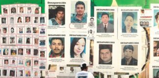 México debe rendir cuentas ante crisis por desapariciones, femincidios, persecución a defensores y violaciones a los derechos humanos: EPUMx