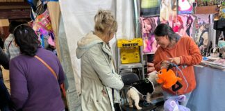 Autoridades de Xalapa recomiendan no regalar mascotas en día de Reyes