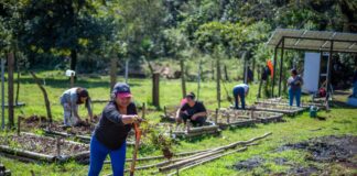 Promueve Ayuntamiento de Xalapa la responsabilidad ambiental .
