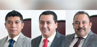 Crean diputados el grupo legislativo mixto Trabajo y Fuerza.