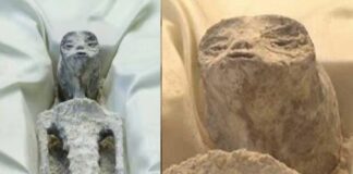 #Engaño dicen peritos. Los supuestos alienígenas de Perú son muñecos .