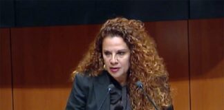 Demandan en el Senado prohibir escuelas taurinas o relacionadas con actos de crueldad animal.