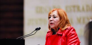 Rosario Piedra propone acabar con la CNDH y trasformar su ideología .