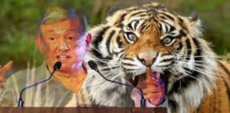 Fue AMLO quien soltó al tigre; el crimen, enseñoreado –