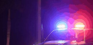 Atropella a mujer en carretera de Veracruz y huye. No hay un solo detenido