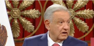 Reformas ociosas o destructivas afectan también a Sheinbaum .