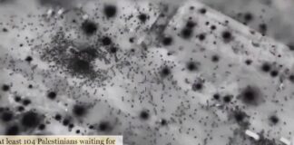 Soldados Israelíes atacan una multitud de desplazados palestinos que esperaban alimentos: 110 muertos y casi 800 heridos