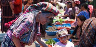 Iniciativa del Ejecutivo sobre pueblos originarios, resarcirá deuda histórica, afirma Ana Lilia Rivera