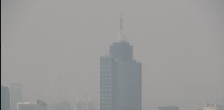 Suspenden la contingencia ambiental atmosférica por ozono #CDMX