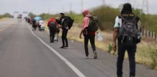 Denuncian hostigamiento, perfilamiento racial e intimidación policial contra defensores en Chiapas .