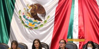 Buscan en Cámara de diputados frenar la revictimización de las mujeres en medios de comunicación .