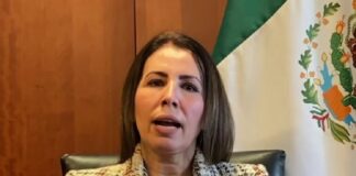 Proponen en Senado acciones para proteger a animales de compañía de pirotecnia