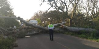 Surada deja afectaciones en los municipios de Coatepec y Xico.