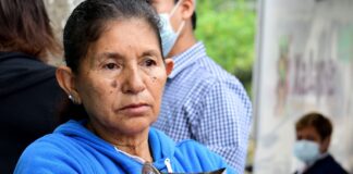 Realiza Ayuntamiento de Xalapa jornada de esterilización canina y felina