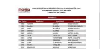 La lista rasurada de Morena para el Senado.