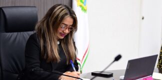 Violencia política de género y elecciones