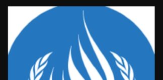 ONU-DH le recuerda al gobierno de México que son las encargadas de proteger datos personales.