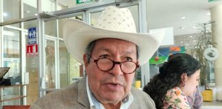 Crece preferencia por carne de cebú; en México se necesita más promoción.