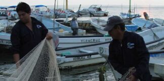 El sector pesquero veracruzano, en el olvido .
