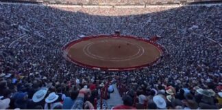 Jueces decidirán este martes si procede suspensión de corridas de toros.