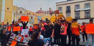 Animalistas exigen freno al maltrato animal y sanciones más severas #Xalapa