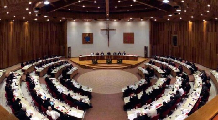 Obispos de México llaman a no normalizar la violencia y a construir la paz