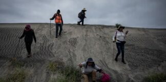 Casi 11 mil nombres de desaparecidos fueron borrados de registros del gobierno: Data Cívica