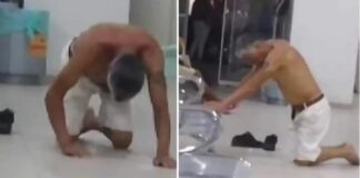 Esta imagen exhibe el sistema de seguridad nacional de Salud en México.