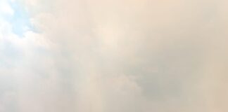 Presidenta del CCE zona centro lamenta que gobierno minimice magnitud de incendios.