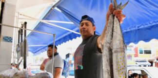 Supervisará Ayuntamiento condiciones de salubridad en pescaderías.