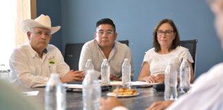 Veracruz recuperará su primer lugar como productor de Caña de azúcar Rocío Nahle.