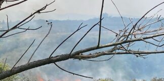 Incendios contaminan nuestros ríos .