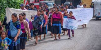 Ineptitud, indiferencia y complicidad, actitudes del gobierno federal frente a las violaciones de derechos humanos: Frayba