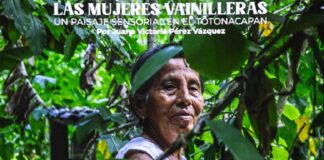 Juana Victoria Pérez Vázquez visibilizó labor de productoras de vainilla en Veracruz .