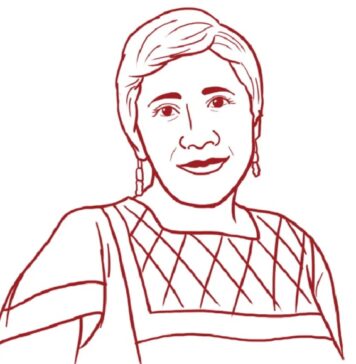 Entre la Cartilla y la realidad: el laberinto institucional.