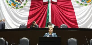 Aprueban que en órdenes de protección de la mujer no sea admitido medio de defensa para el agresor.