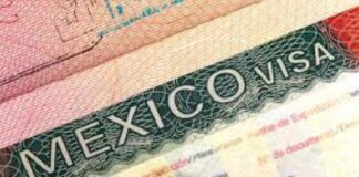 Gobierno mexicano triplicó permisos de residencia a ciudadanos rusos en 2023.