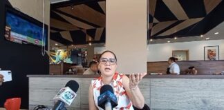 Me siento como una delincuente por decisión de Jueza que me prohíbe ver a mi hijo: Minerva Tejeda