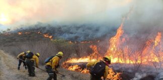 LITERALMENTE, ARDE VERACRUZ .