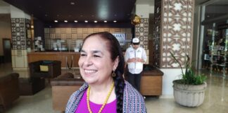 Las AVG no se deben eliminar en Veracruz, no es un asunto del gobernador: Sara Ladrón de Guevara