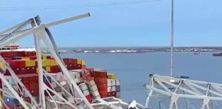 Hallan cuerpo de mexicano en vehículo sumergido tras caída del Puente en Baltimore.