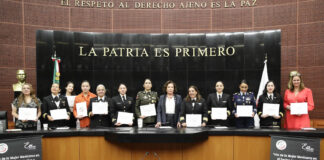 Advierten en el Senado sobre la “gran brecha de género en sector aeronáutico.