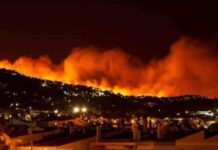 Incendios forestales, el viacrucis de cada año