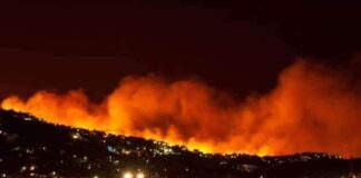 #ArdeVeracruz. Suman más de 7 incendios forestales activados en la zona centro #Videos